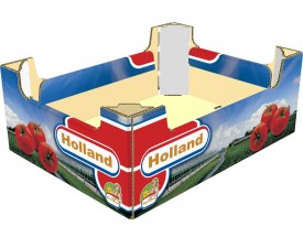 Tomaten tray "Holland"